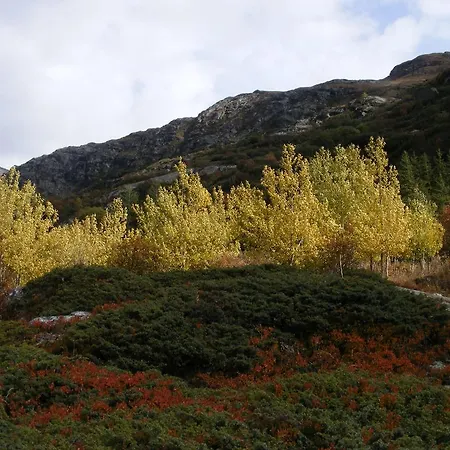 La Cascade Pensjonat