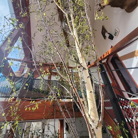 Auberge La Cascade *